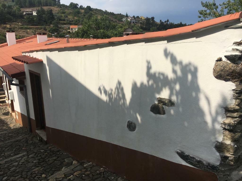 Casa Do Tuga Apartman Bragança Kültér fotó